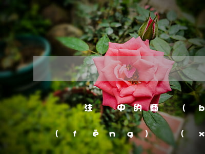 購買注冊中的商標(biāo)都有哪些風(fēng)險(xiǎn)？